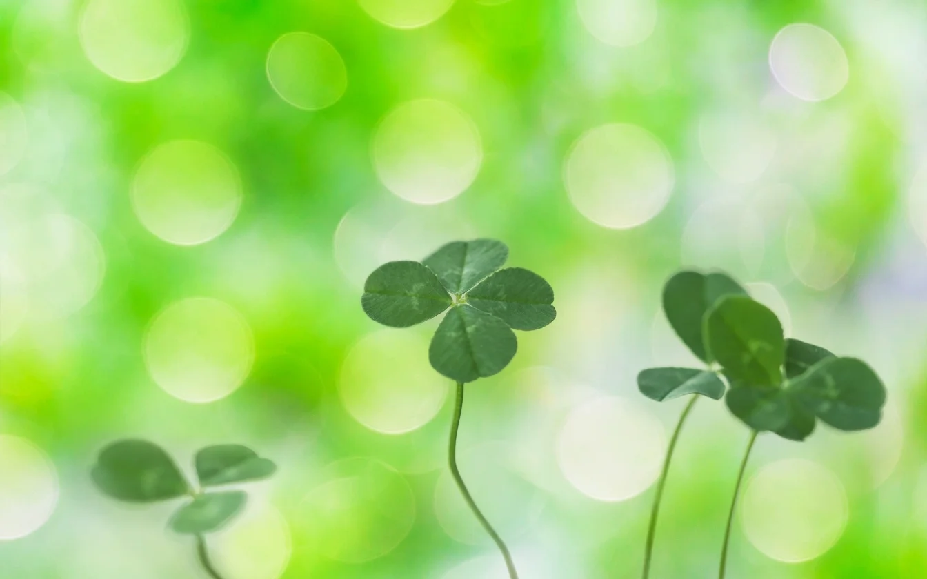 hinh-nen-co-may-man-hoc-tap-8