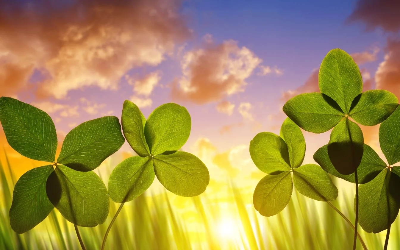 hinh-nen-co-may-man-hoc-tap-9