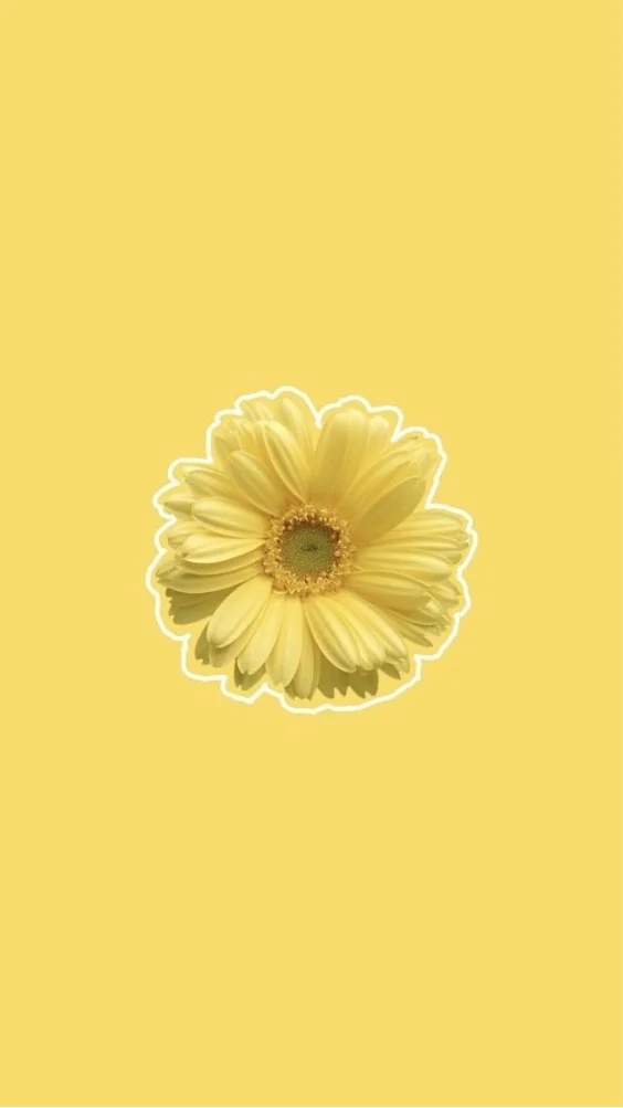 hinh-nen-cuc-tana-vang (13)