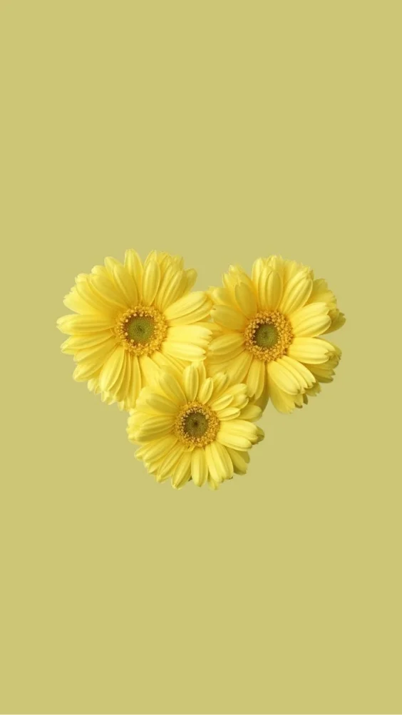 hinh-nen-cuc-tana-vang (14)