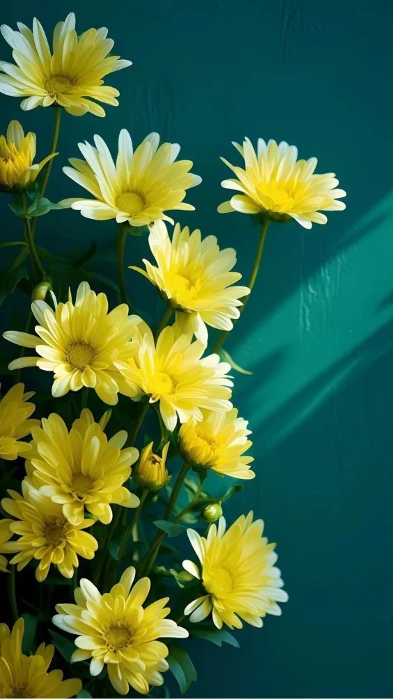 hinh-nen-cuc-tana-vang (16)