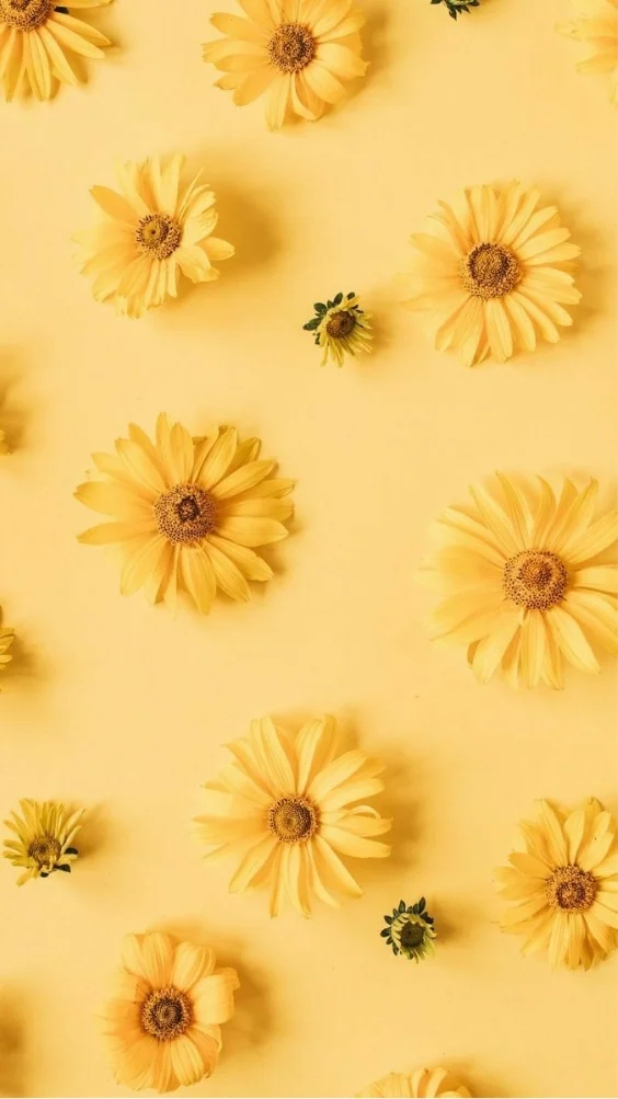 hinh-nen-cuc-tana-vang (19)