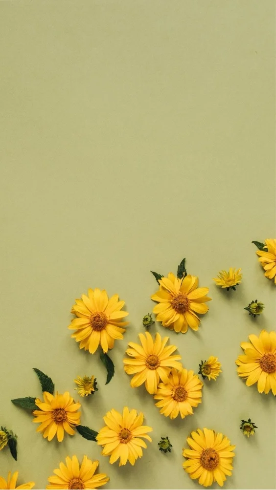 hinh-nen-cuc-tana-vang (22)