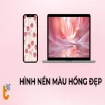 Bộ sưu tập hình nền màu hồng cute, dễ thương cho điện thoại