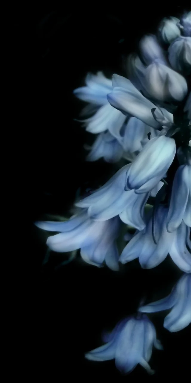 hinh-nen-dien-thoai-ngau-dark-mode-2