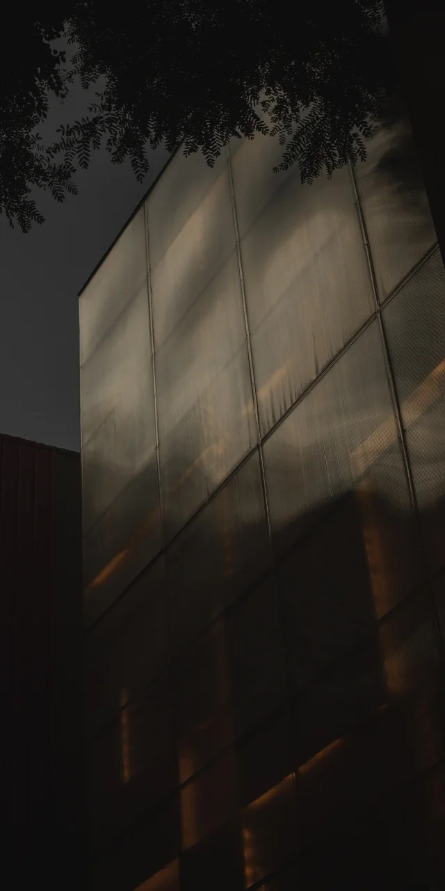 hinh-nen-dien-thoai-ngau-dark-mode-9