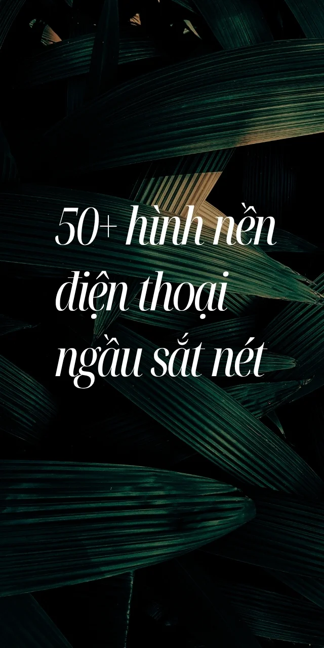 hinh-nen-dien-thoai-sac-net