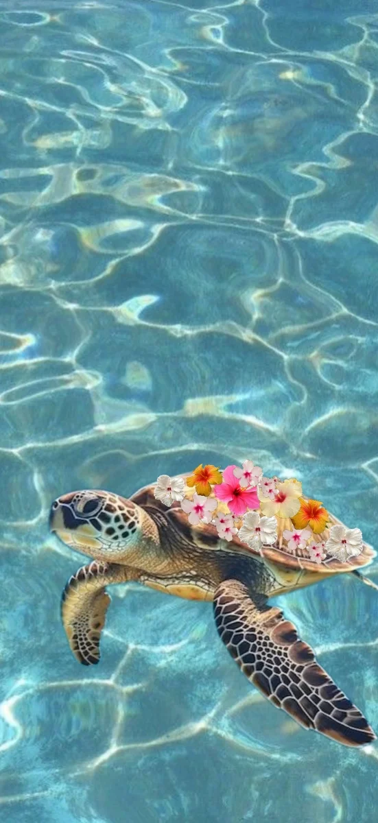 hinh-nen-dong-vat-hai-huoc-11