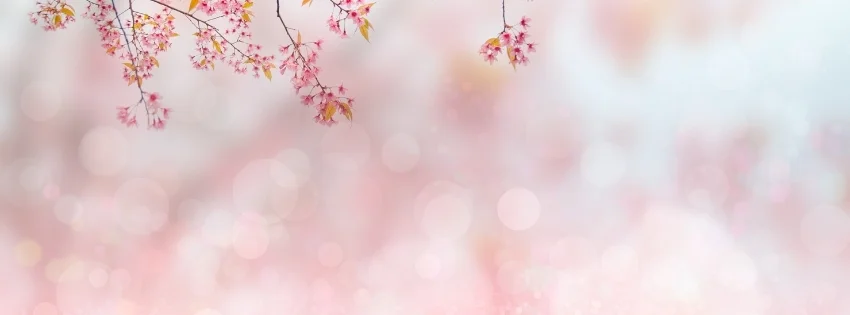 hinh-nen-facebook-thien-nhien-10