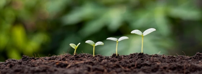 hinh-nen-facebook-thien-nhien-15-1