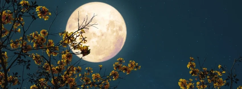 hinh-nen-facebook-thien-nhien-9