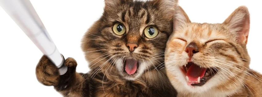 hinh-nen-facebook-vui-nhon- 31