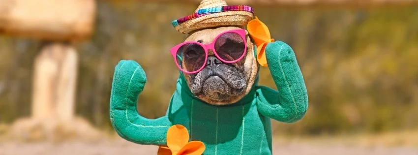 hinh-nen-facebook-vui-nhon- 33