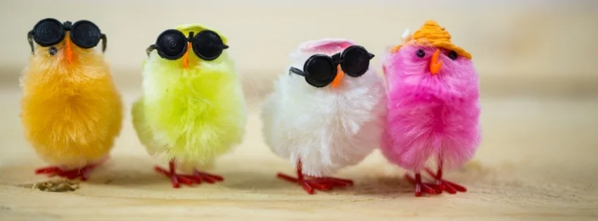 hinh-nen-facebook-vui-nhon- 34