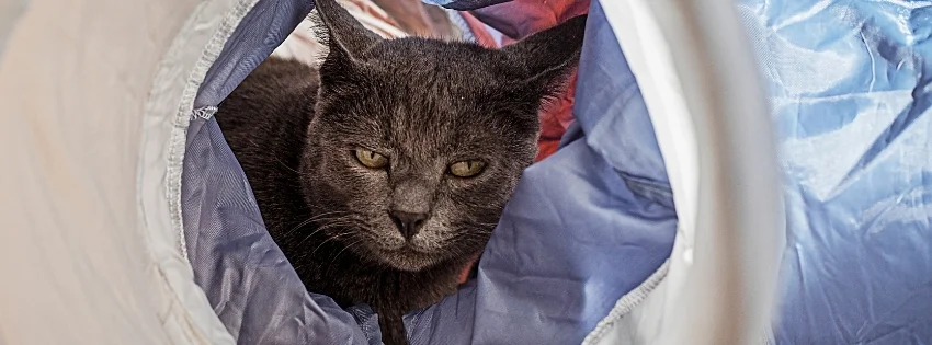 hinh-nen-facebook-vui-nhon-35