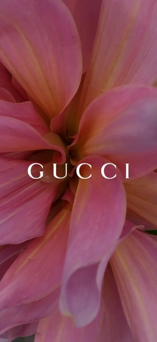 hinh-nen-gucci-1 (22)