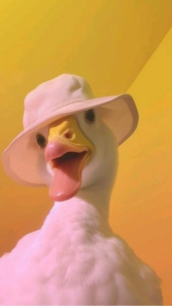 Hinh-nen-hai-huoc (3)