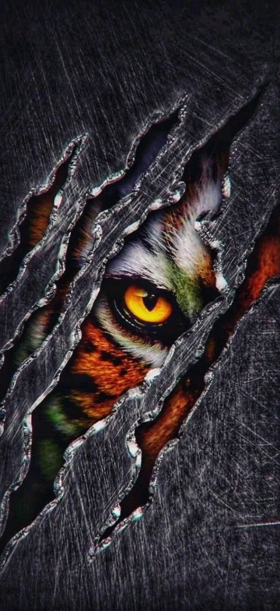 hinh-nen-ho-chodienthoai (51)