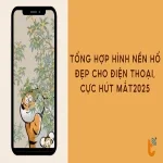 Tổng hợp hình nền hổ đẹp cho điện thoại với đa dạng chủ đề