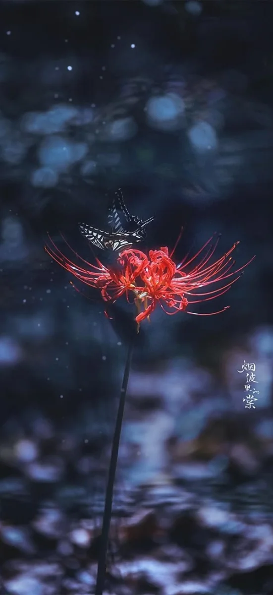 hinh-nen-hoa-bi-ngan (12)