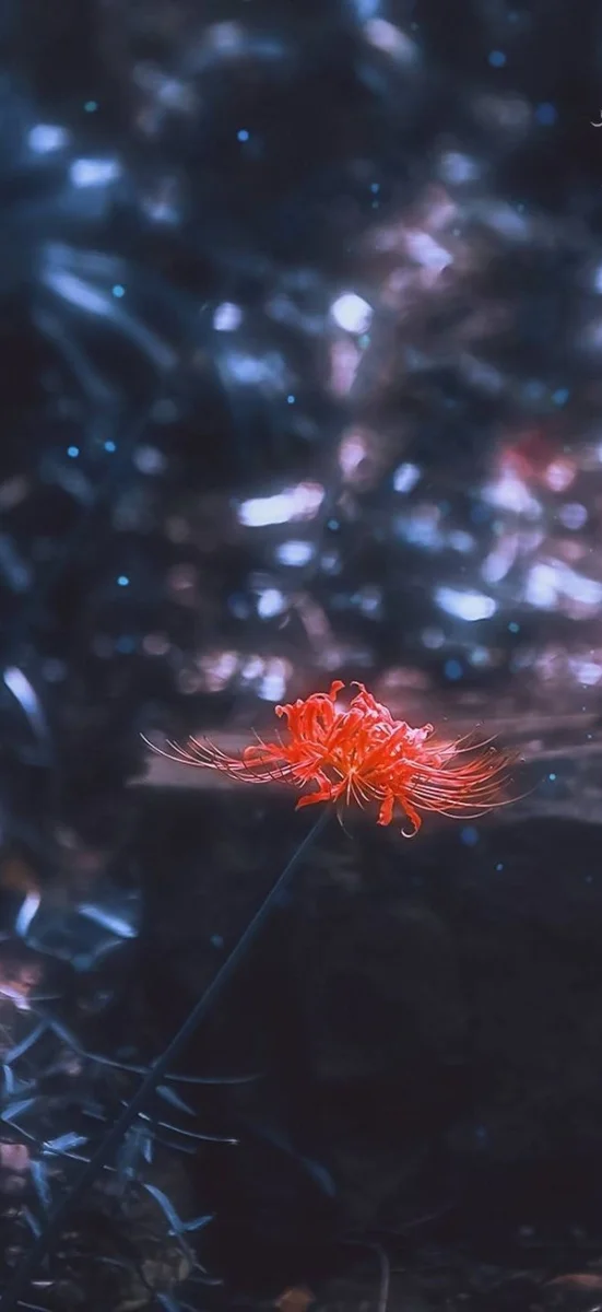 hinh-nen-hoa-bi-ngan (17)