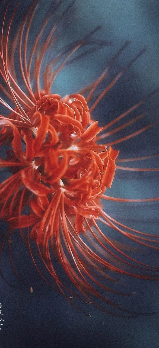 hinh-nen-hoa-bi-ngan (36)