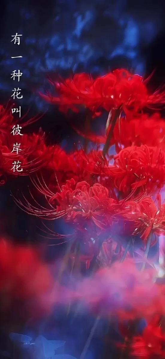 hinh-nen-hoa-bi-ngan (7)