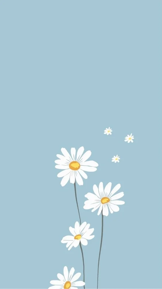 hinh-nen-hoa-cuc-hoa-mi-trang (17)