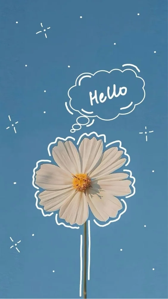 hinh-nen-hoa-cuc-hoa-mi-trang (24)