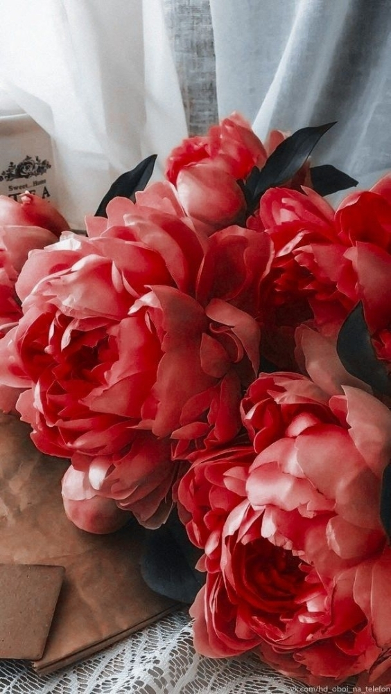 Hinh-nen-hoa-mau-don-do (5)