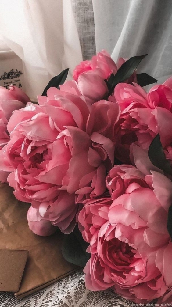 Hinh-nen-hoa-mau-don-hong (3)