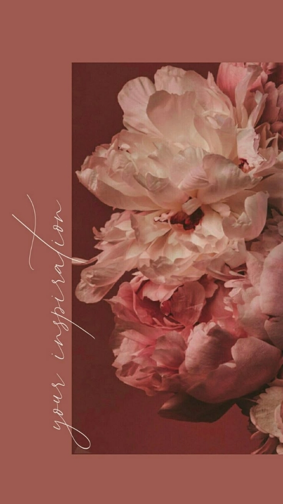 Hinh-nen-hoa-mau-don-hong (4)