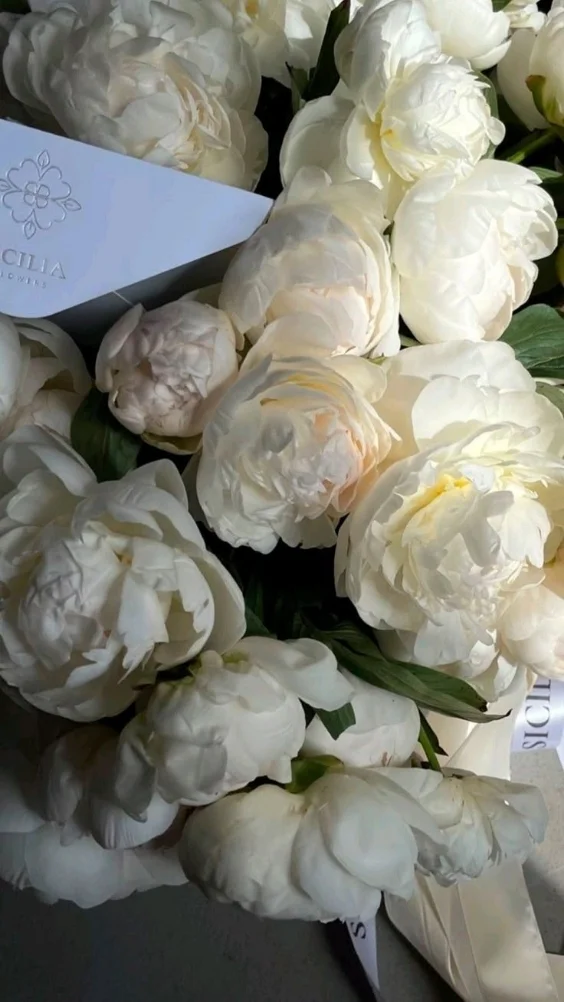 Hinh-nen-hoa-mau-don-trang-1