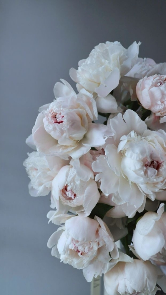 Hinh-nen-hoa-mau-don-trang (15)-1