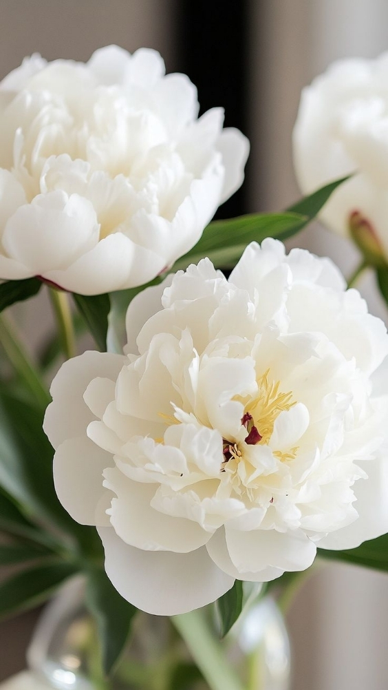 Hinh-nen-hoa-mau-don-trang (21)-1