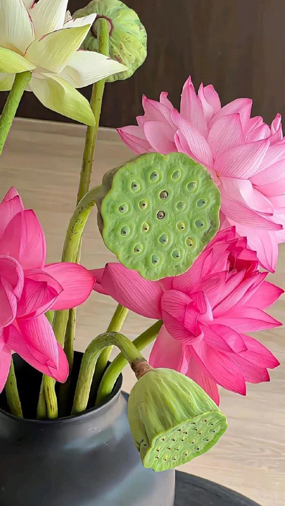 Hình nền hoa sen trang nhã 9