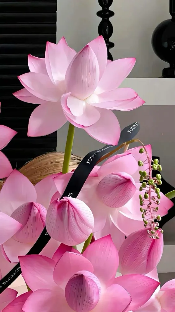 Hình nền hoa sen trang nhã 7