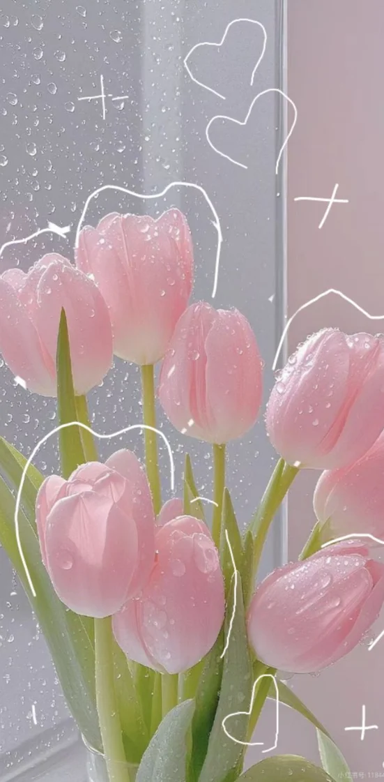 Hình nền hoa Tulip full HD 10