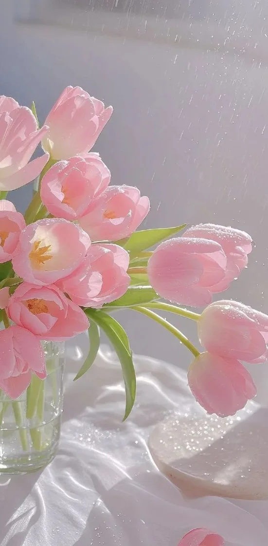 Hình nền hoa Tulip full HD 7