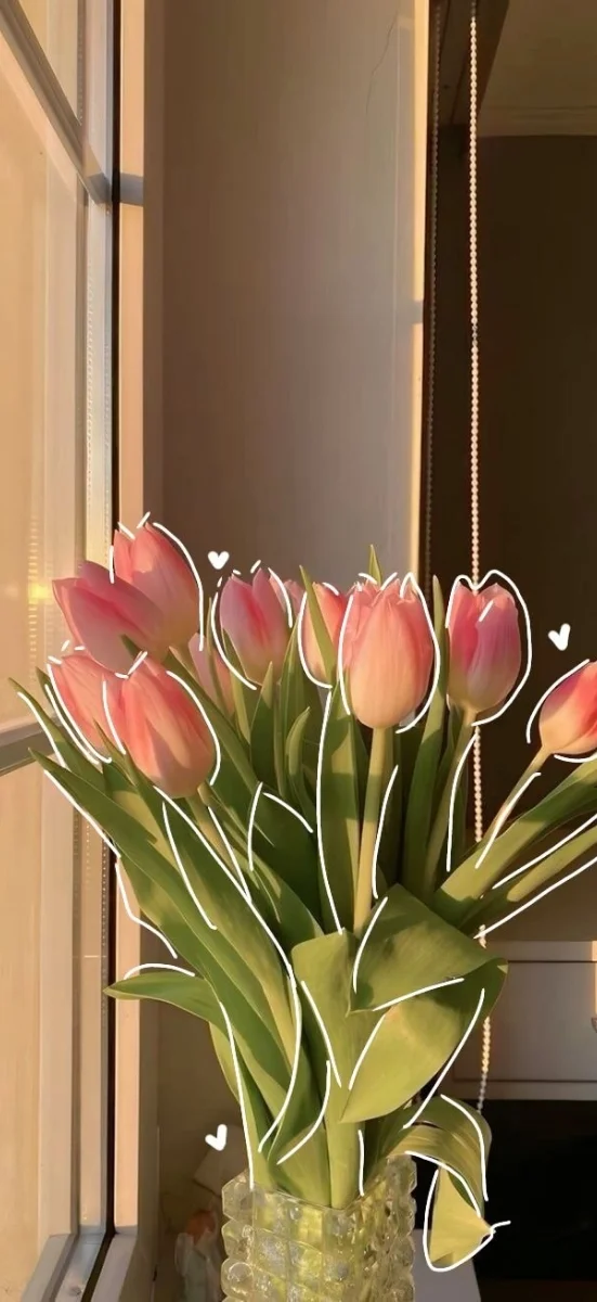 hinh-nen-hoa-tulip-hong-4