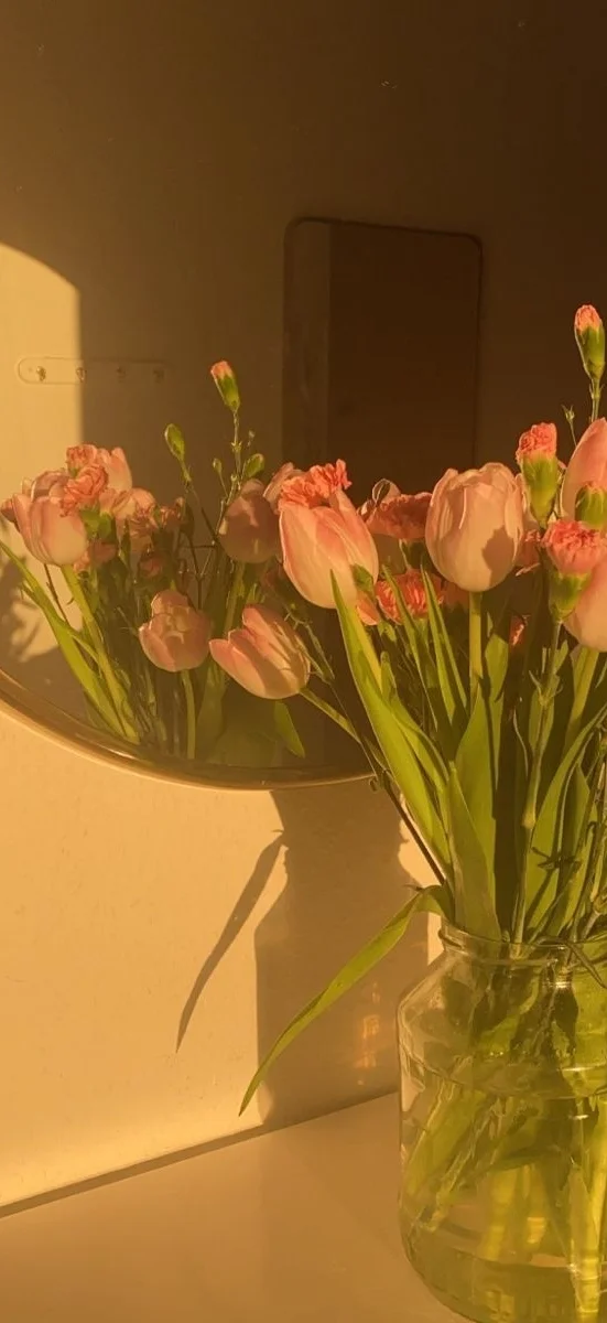 hinh-nen-hoa-tulip-hong-5