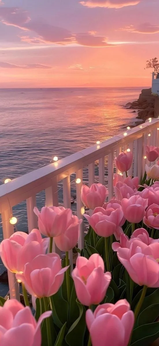 hinh-nen-hoa-tulip-hong-9