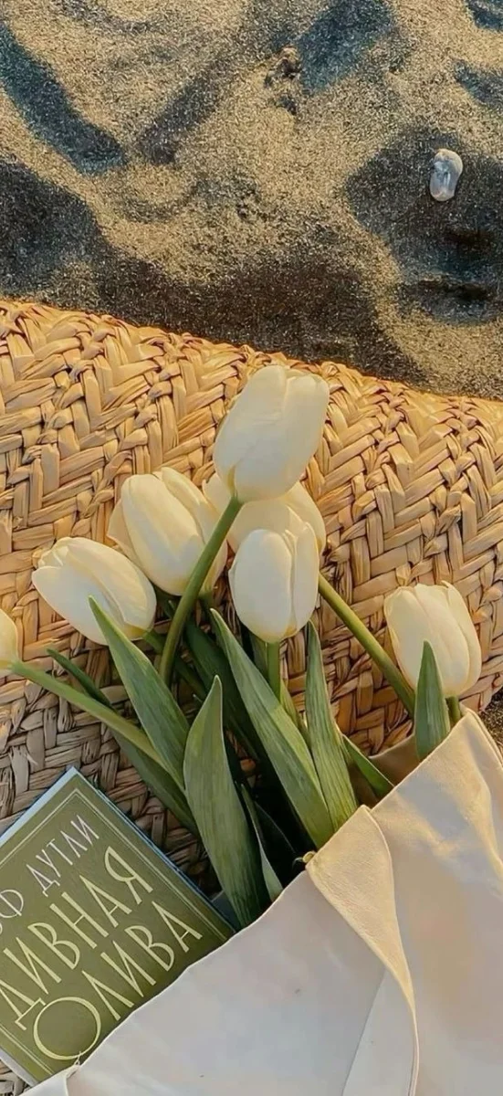 hinh-nen-hoa-tulip-trang-10