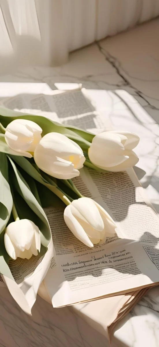 hinh-nen-hoa-tulip-trang-9