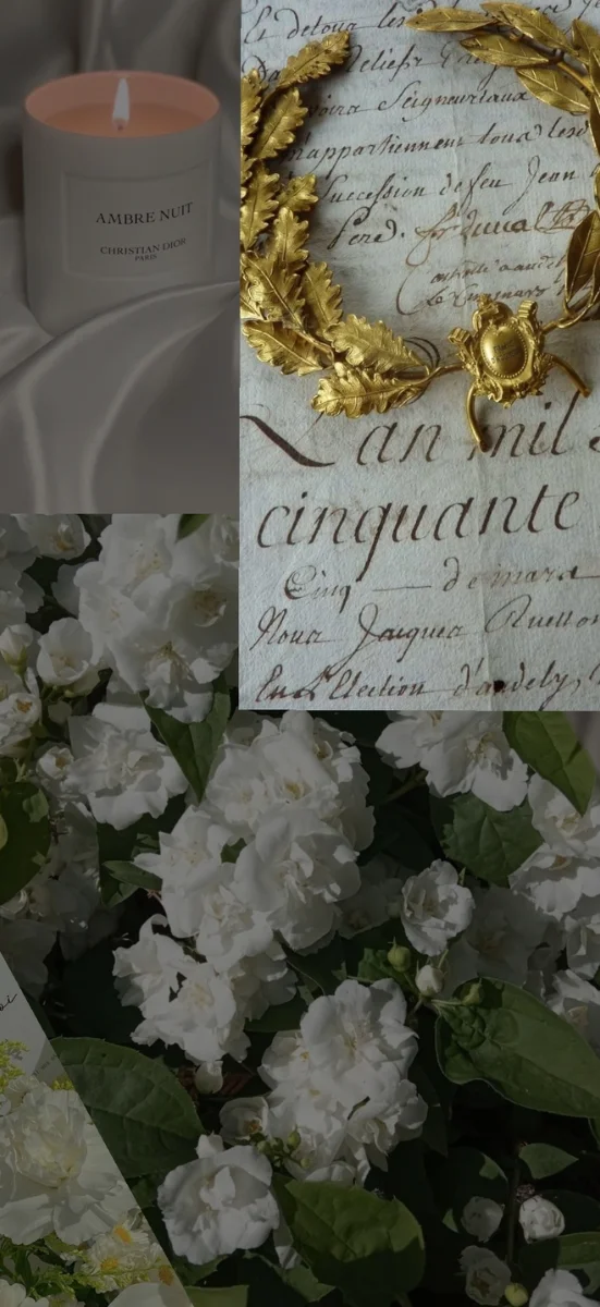 hinh-nen-ios-26-hoa-5