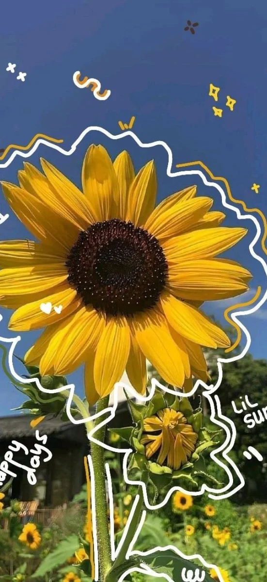 hinh-nen-ios-26-hoa-13