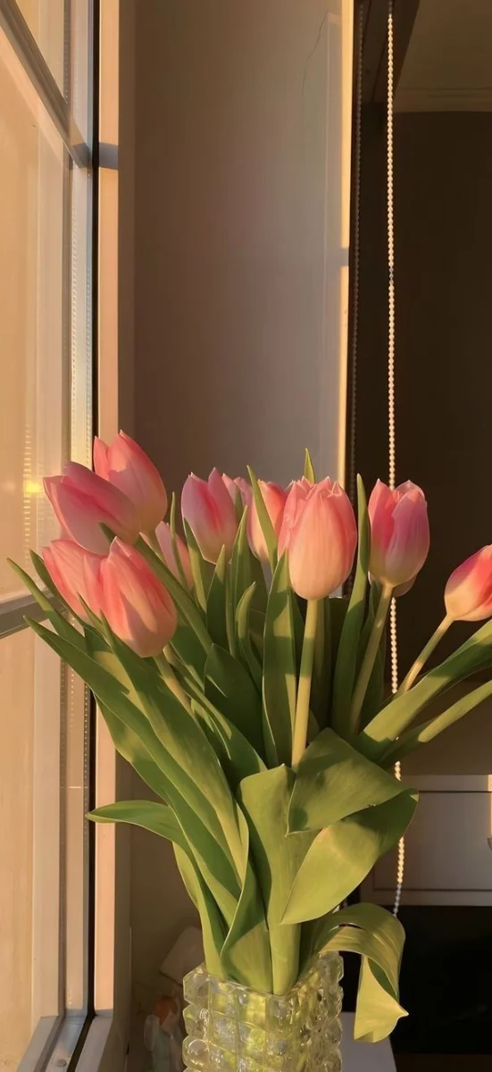 hinh-nen-ios-26-hoa-9