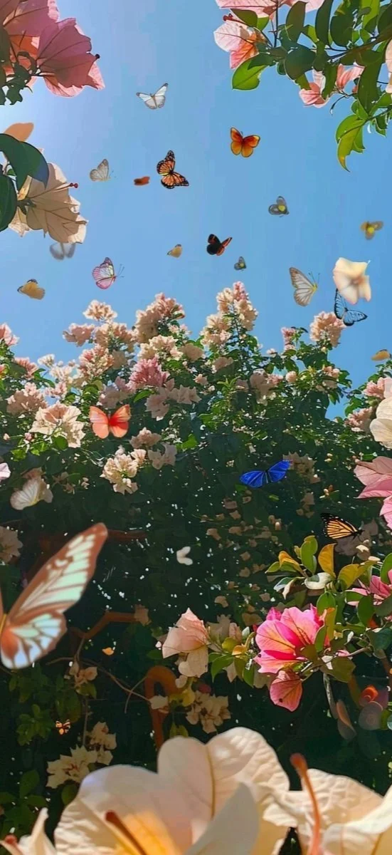 hinh-nen-ios-26-hoa-11