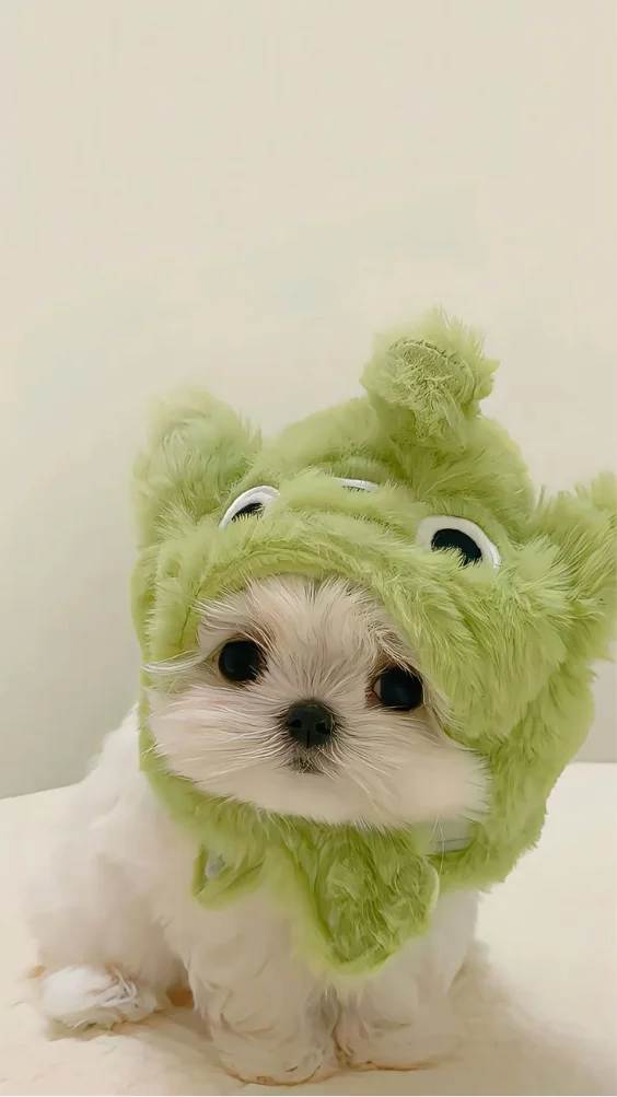 Hinh-nen-iPhone-7 (11)