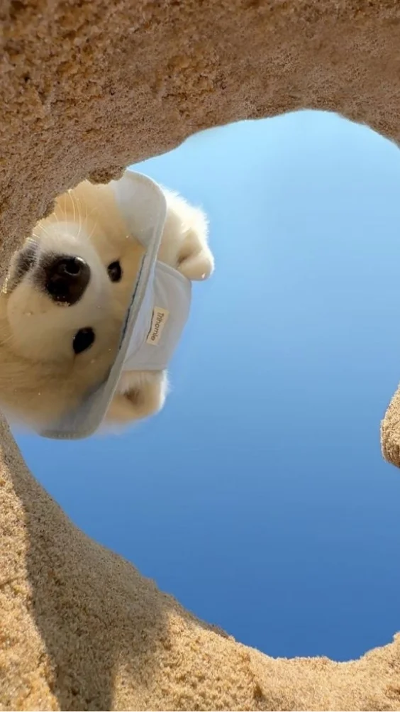 Hinh-nen-iPhone-7 (13)